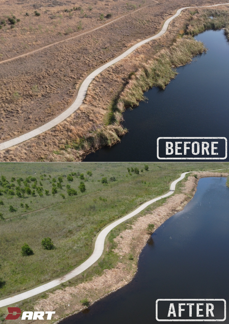 Dam cleaned, before and after