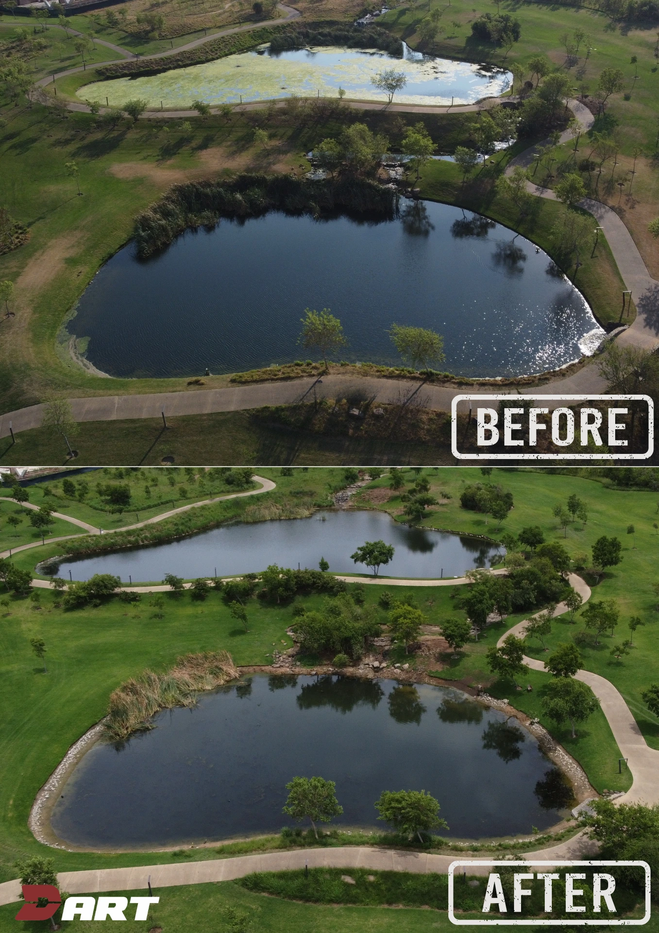 Dam cleaned, before and after