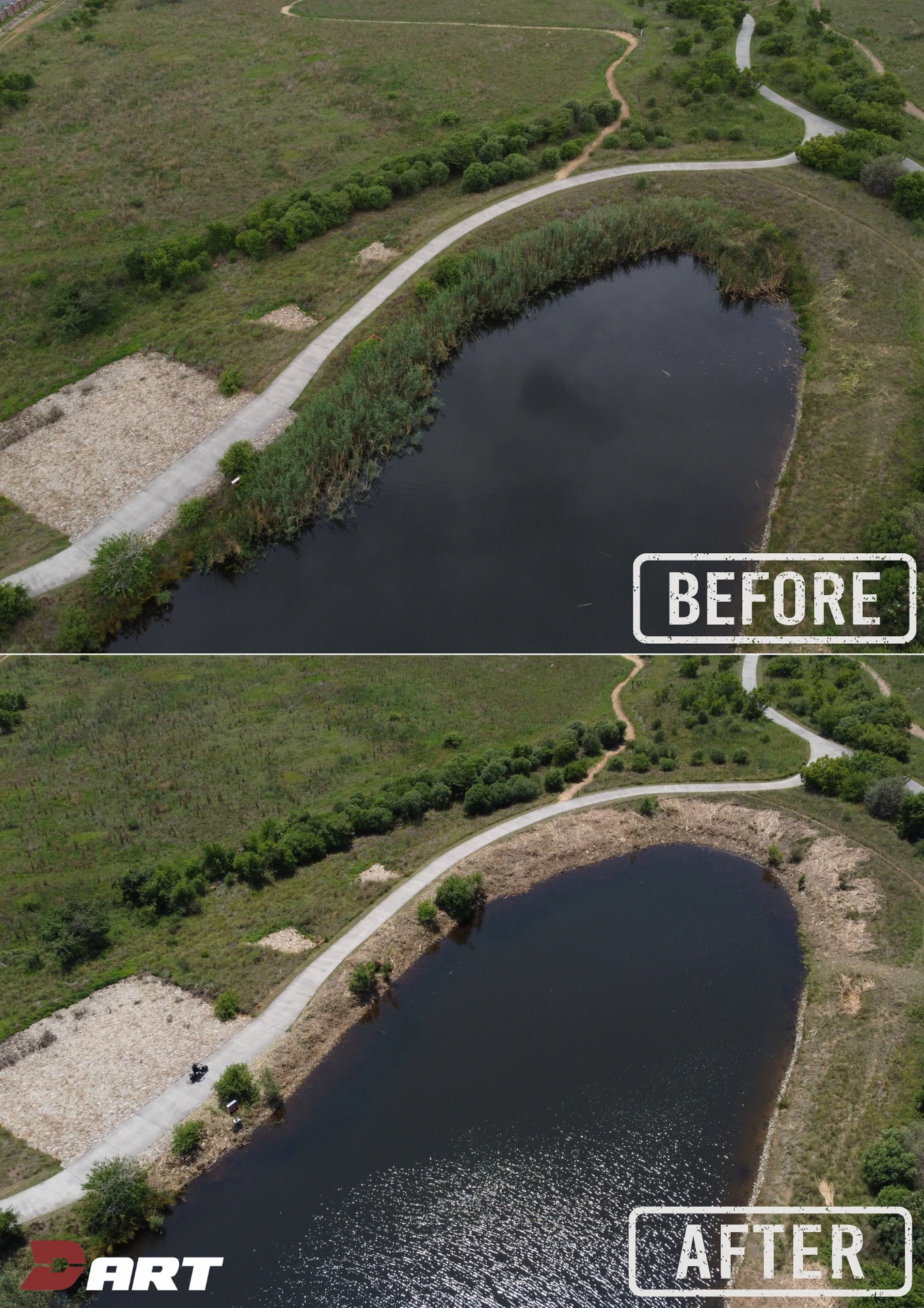 Dam cleaned, before and after