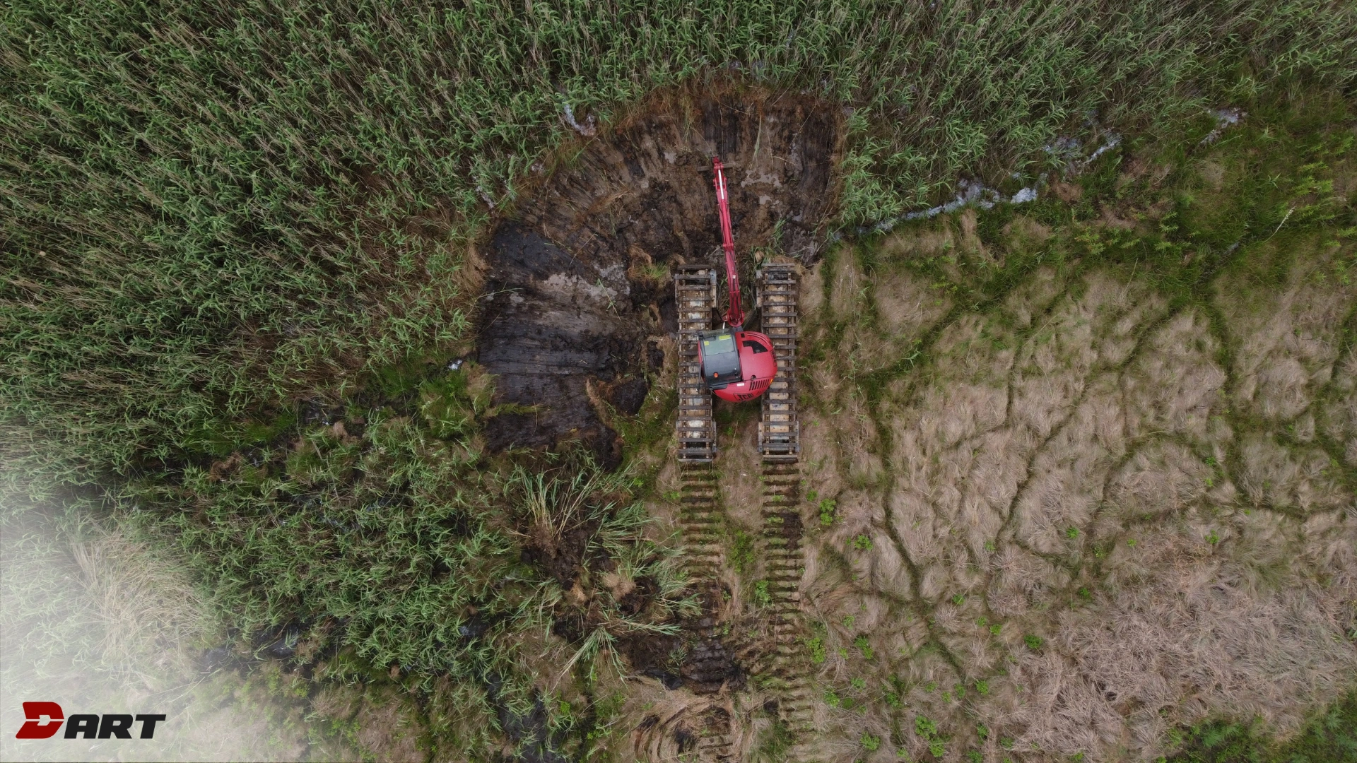 Ampibious Excavator Clearing invasive plants