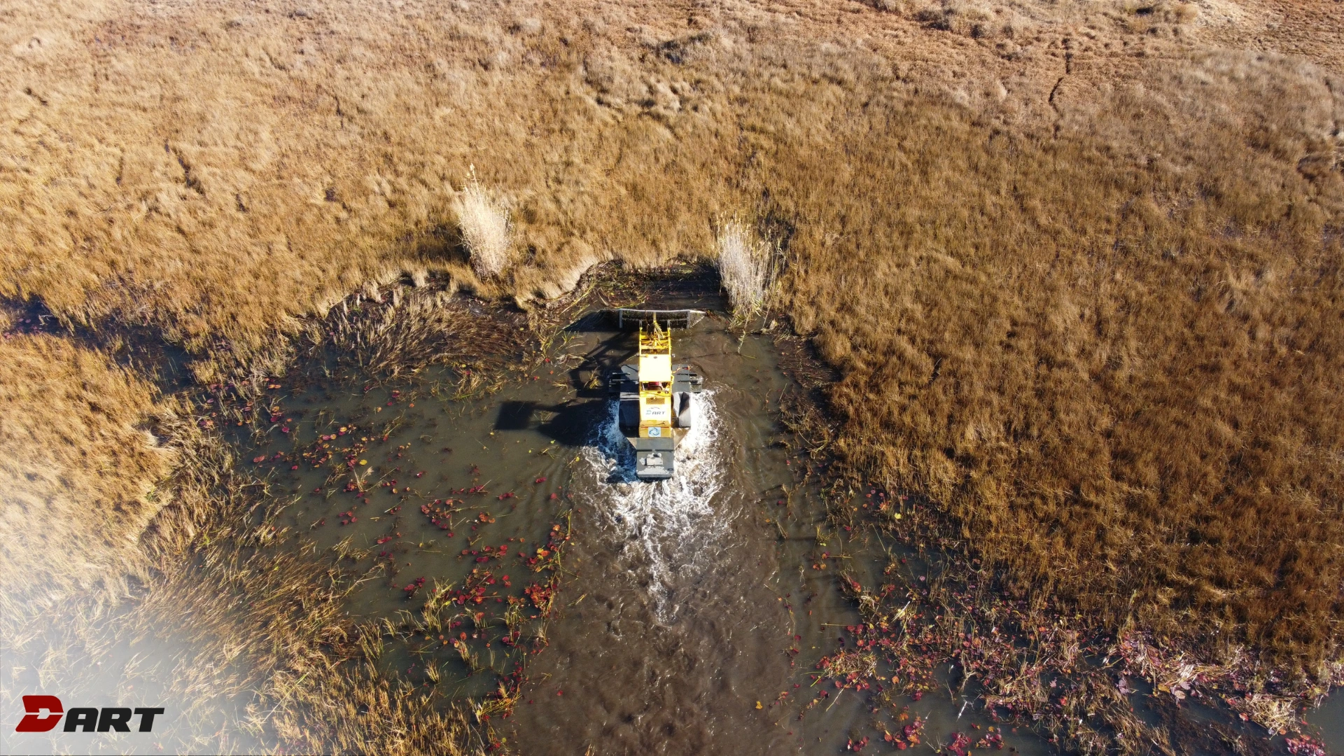 Water Dozer removing invasive plants
