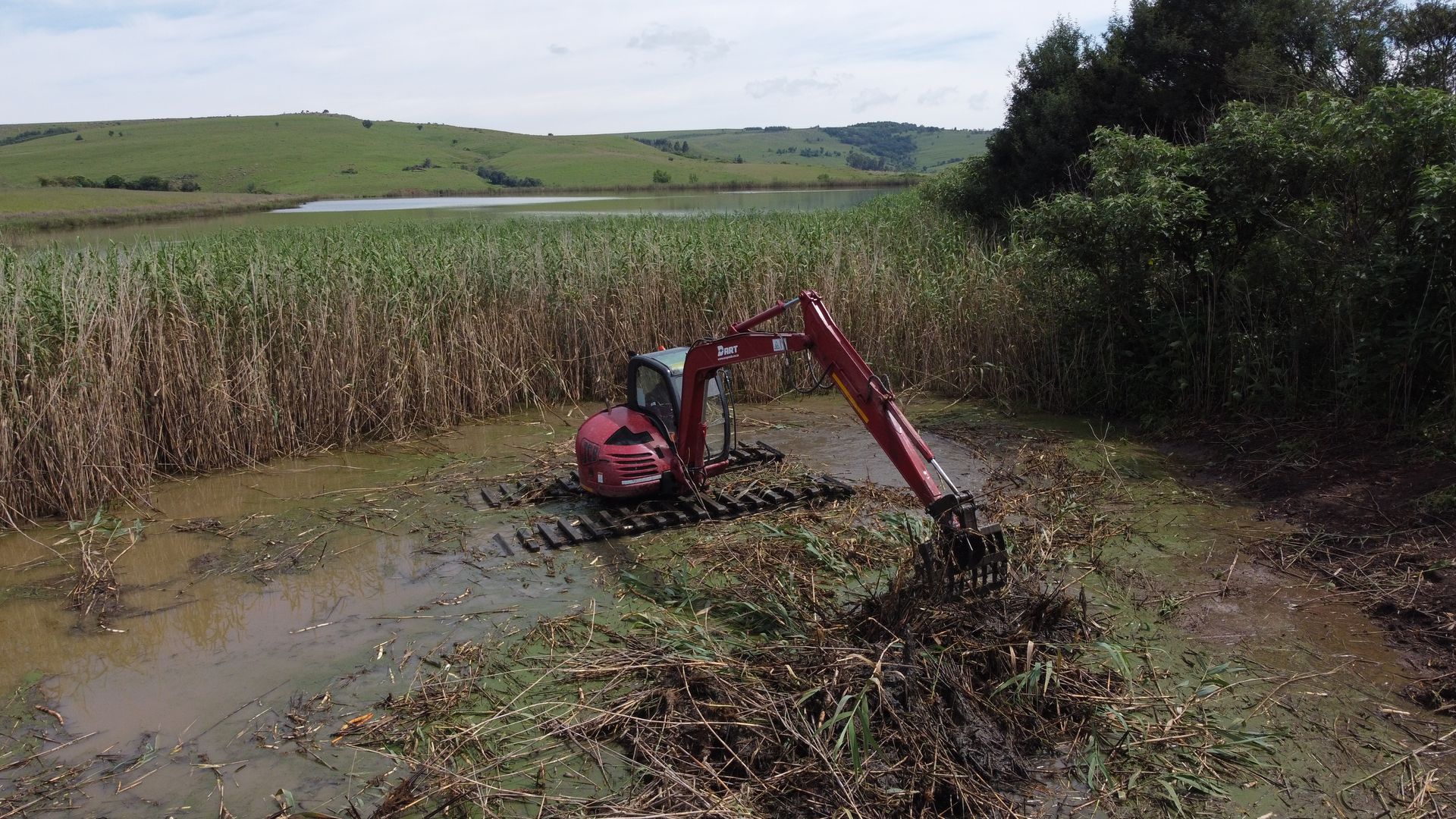 Amphibious Excavator clearing reeds
